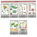 سری پوستر های گیاه شناسی (۶ عددی)Botanical posters set